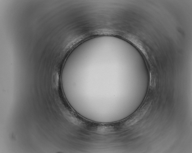 X0000111510109200908041231
