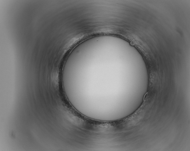 X0000111510112200908041231