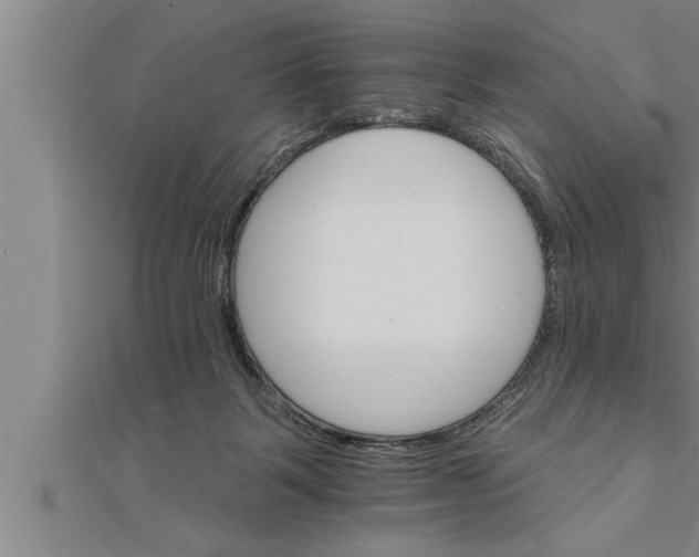 X0000111510123200908041231