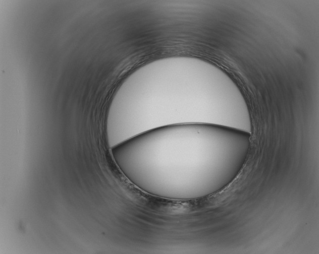 X0000111510124200908041231