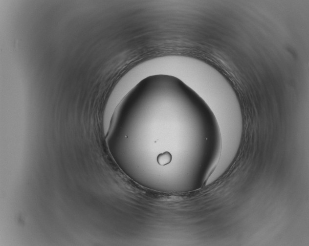 X0000111510125200908041231
