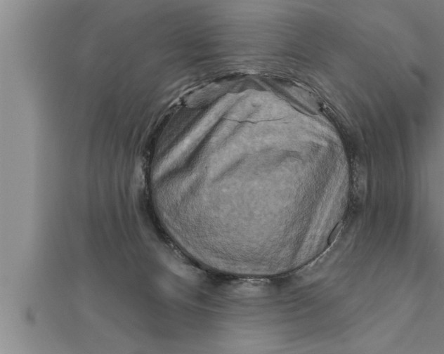 X0000111510128200908041230