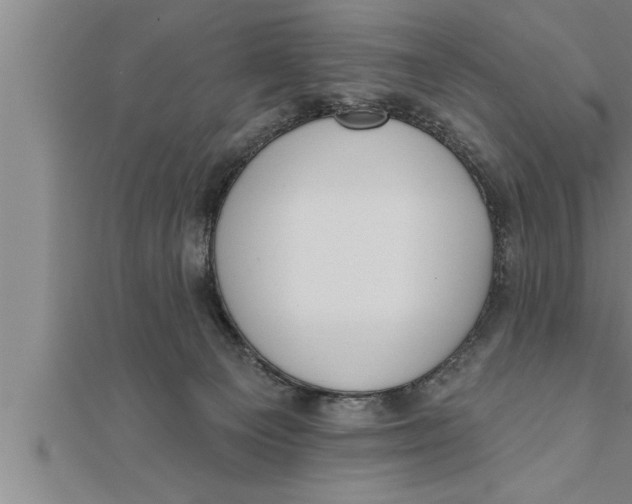 X0000111510129200908041230