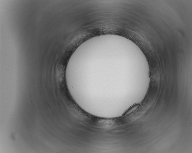 X0000111510133200908041230