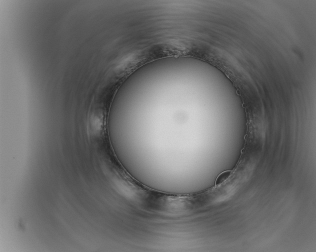X0000111510134200908041230
