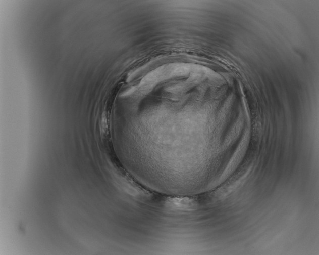 X0000111510137200908041230