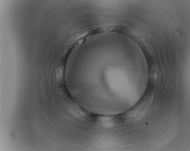 X0000111510139200908041230