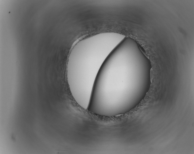 X0000111510144200908041230