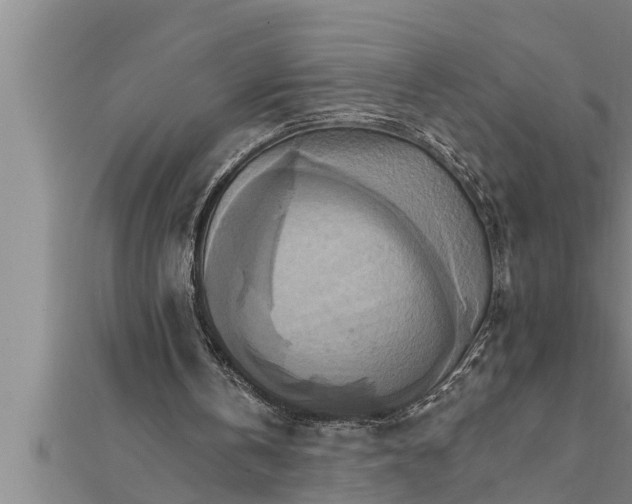 X0000111510146200908041230