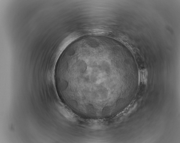 X0000111510147200908041230