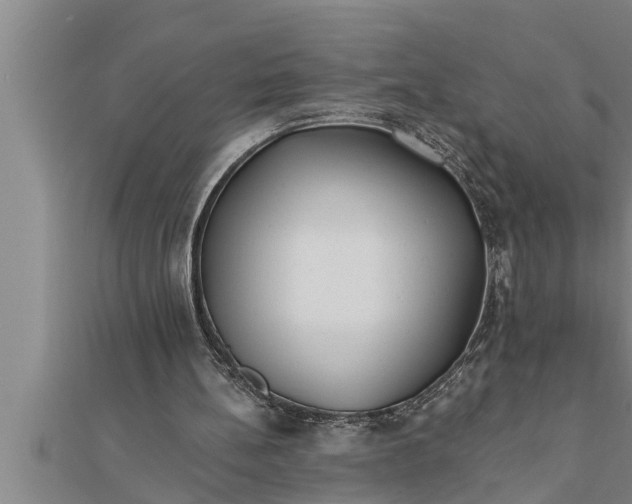 X0000111510148200908041230