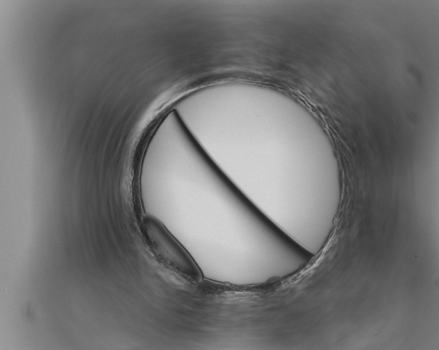 X0000111510150200908041230