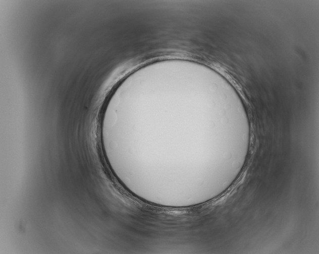 X0000111510151200908041230