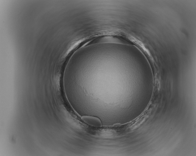 X0000111510154200908041230