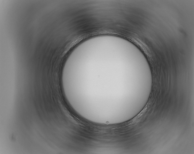 X0000111510158200908041230