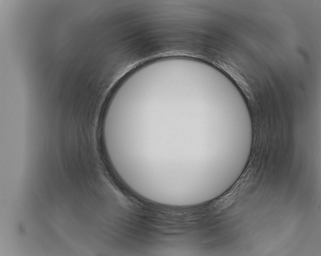 X0000111510160200908041230