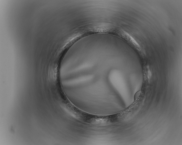 X0000111510163200908041230