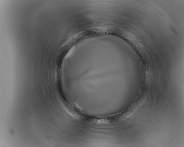 X0000111510165200908041230