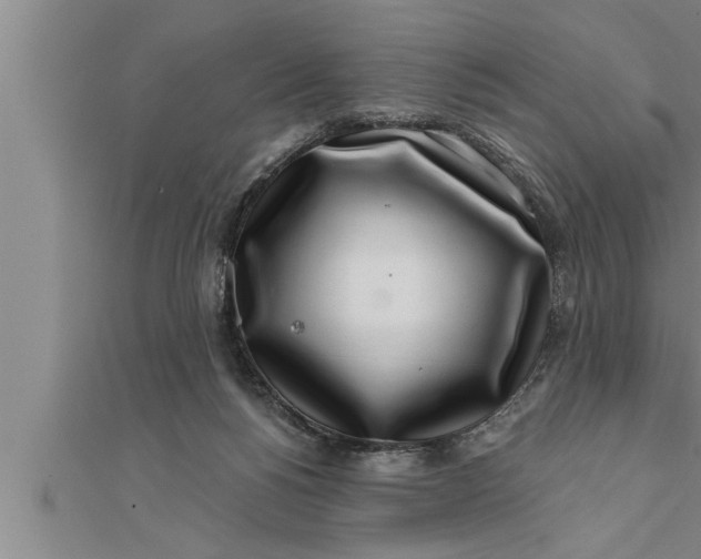 X0000111510168200908041230