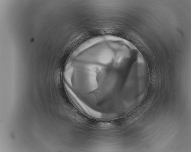 X0000111510169200908041230