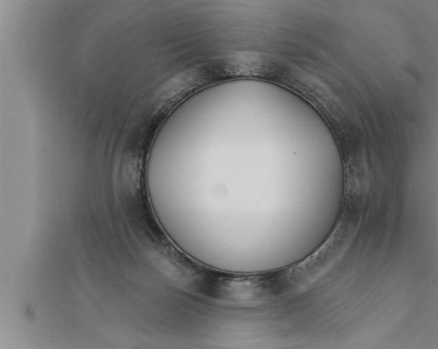 X0000111510171200908041230