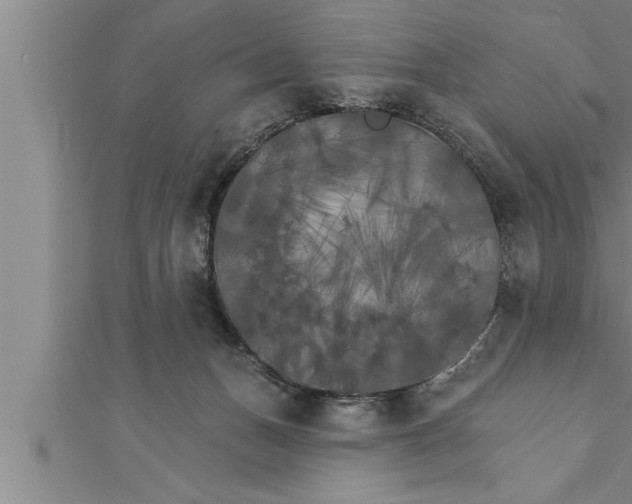 X0000111510175200908041230