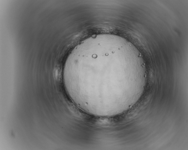 X0000111510177200908041230