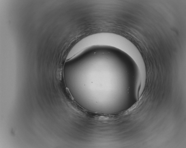 X0000111510180200908041230