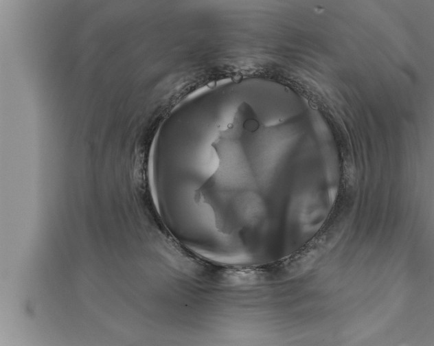 X0000111510181200908041230