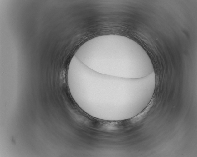 X0000111510182200908041230