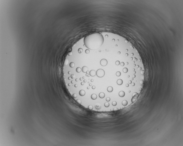 X0000111510183200908041230