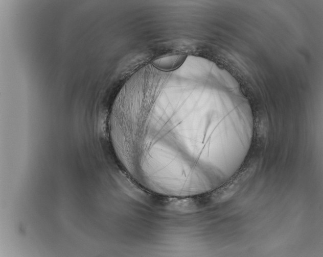 X0000111510185200908041230