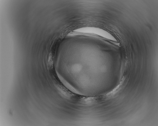 X0000111510186200908041230