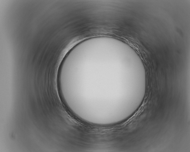 X0000111510195200908041230