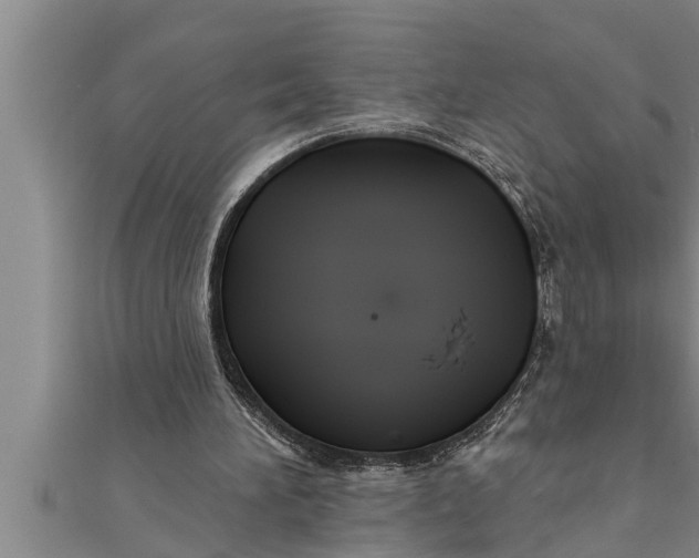 X0000111510196200908041230