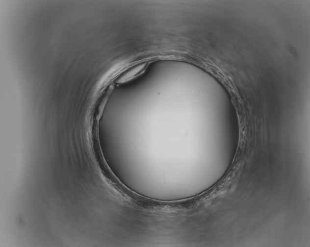 X0000111510197200908041230