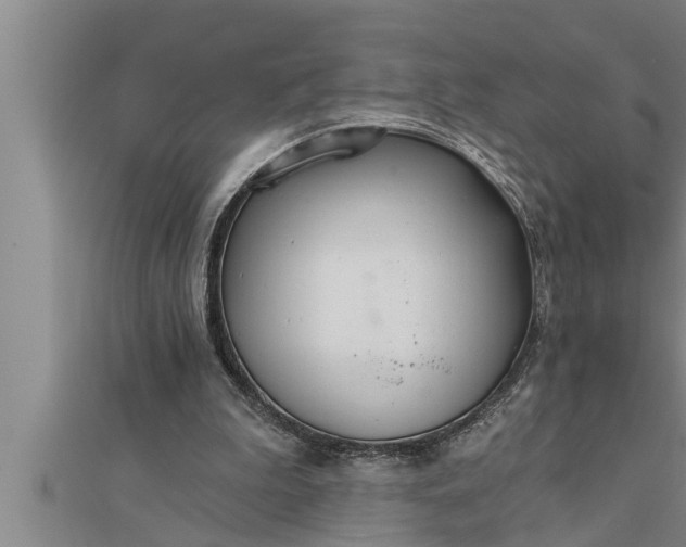 X0000111510199200908041230