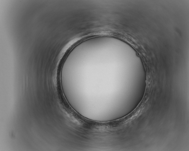 X0000111510200200908041230
