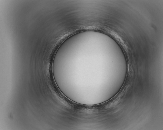 X0000111510201200908041230