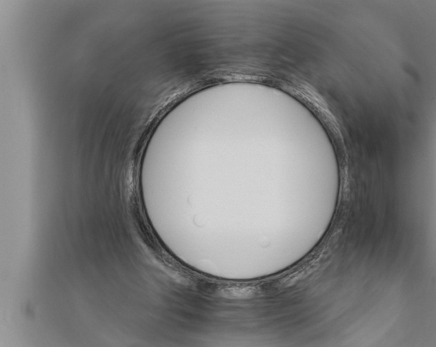 X0000111510202200908041230