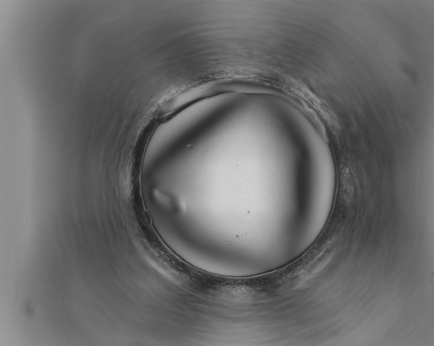 X0000111510203200908041230