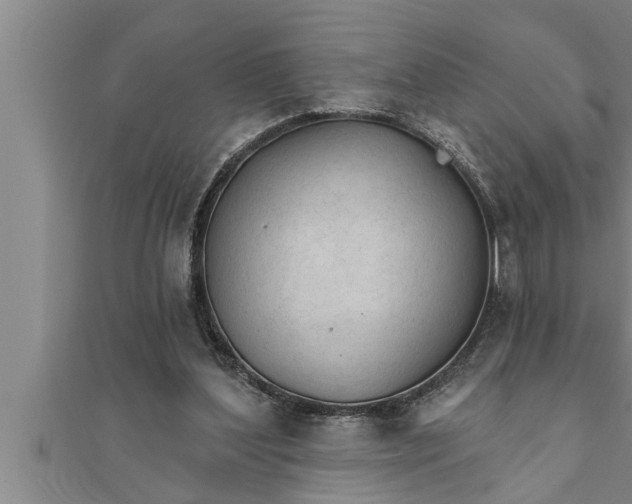 X0000111510204200908041230