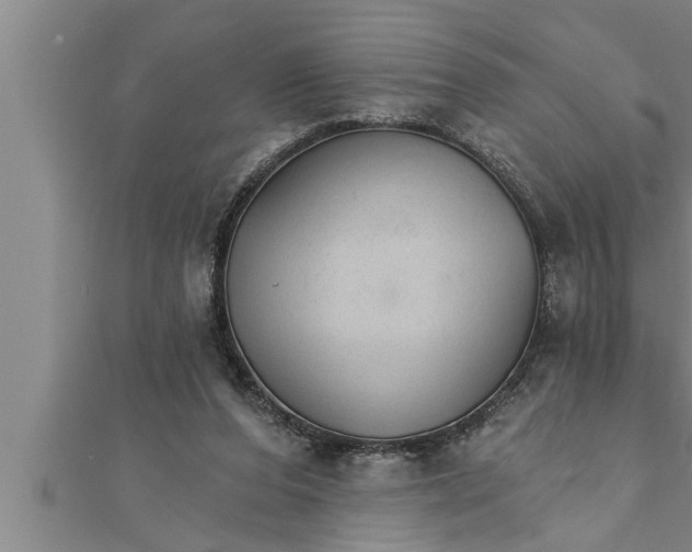 X0000111510208200908041229