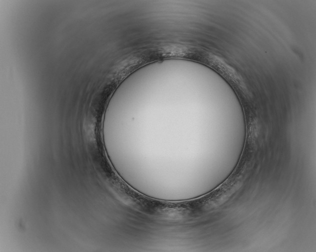 X0000111510209200908041229