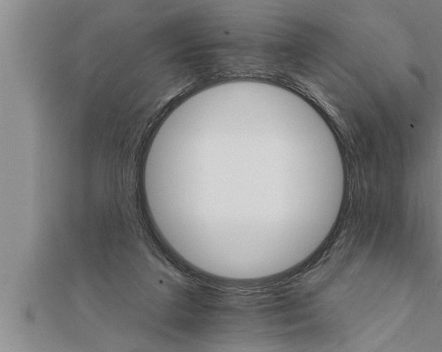 X0000111510211200908041229