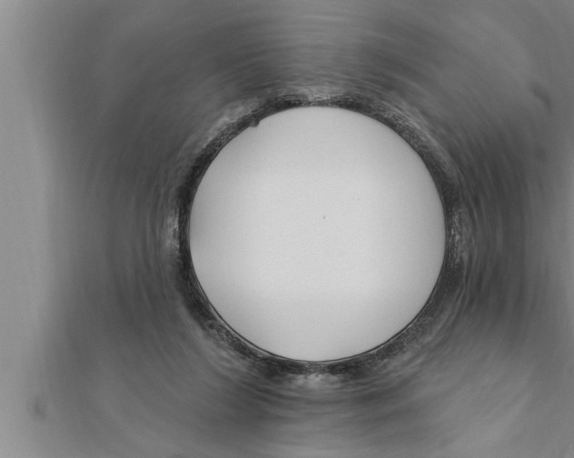 X0000111510212200908041229