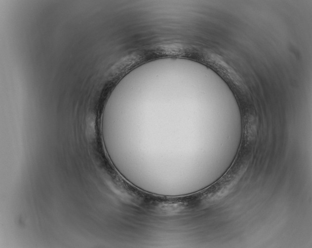 X0000111510213200908041229