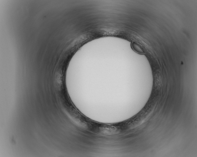 X0000111510215200908041229