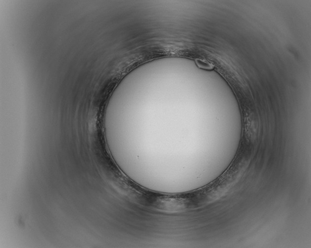 X0000111510221200908041229