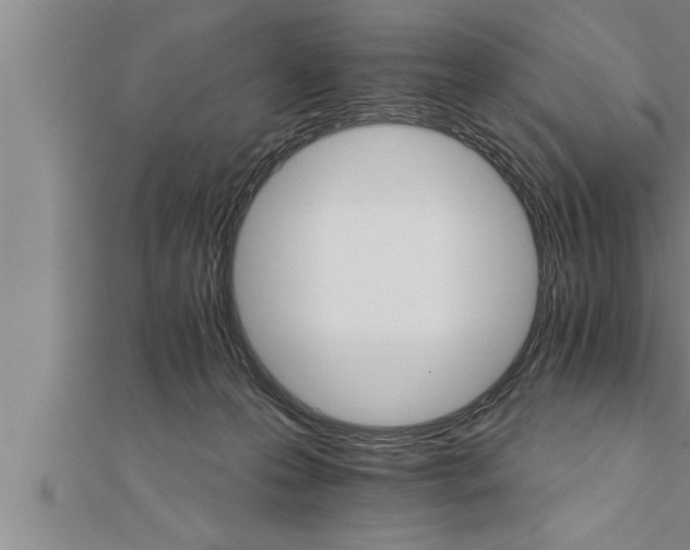 X0000111510223200908041229